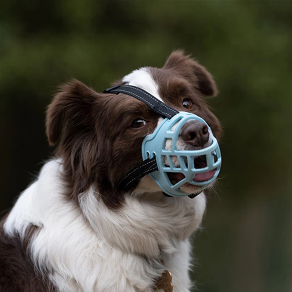 Basket Style Dog Muzzle