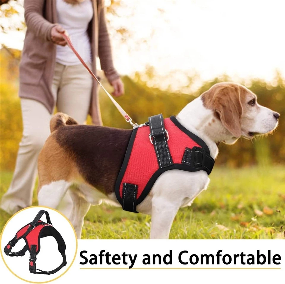 Most Comfortable No Pull Dog Harness best