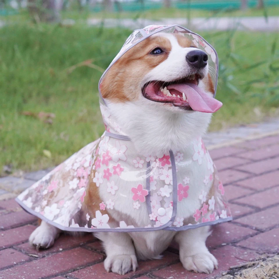 Clear Dog Raincoat With Hood