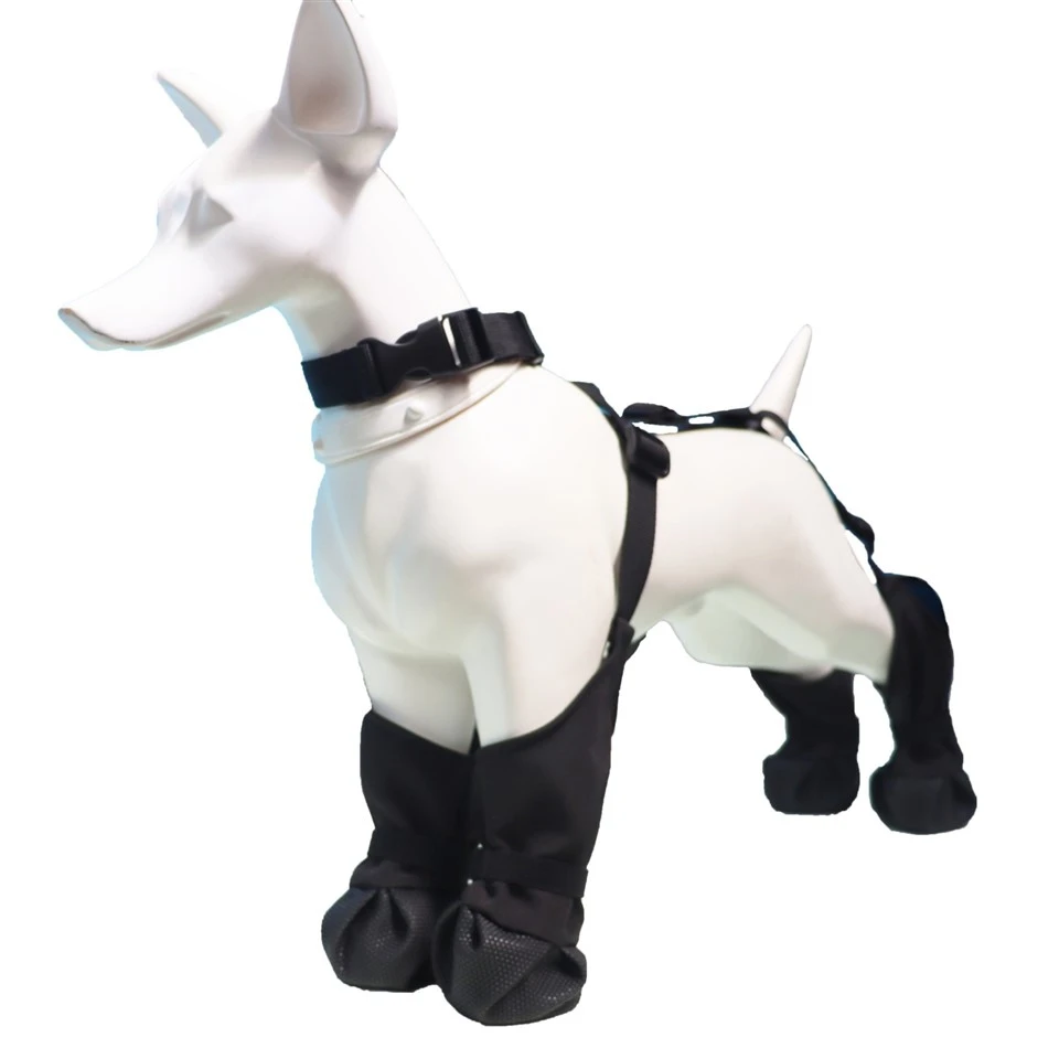 Dog Shoe Suspenders suppliers
