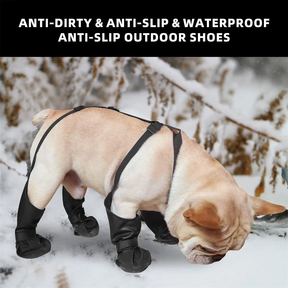 Dog Shoe Suspenders best