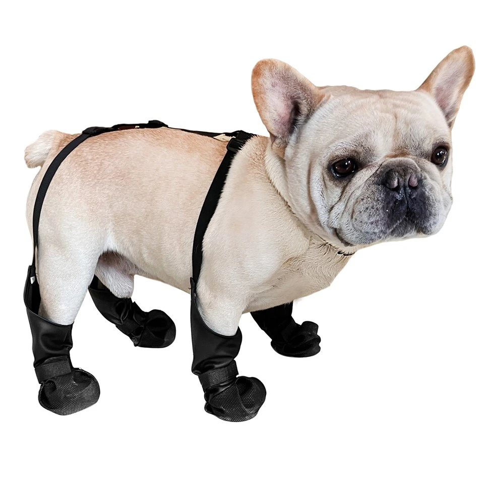 Dog Shoe Suspenders