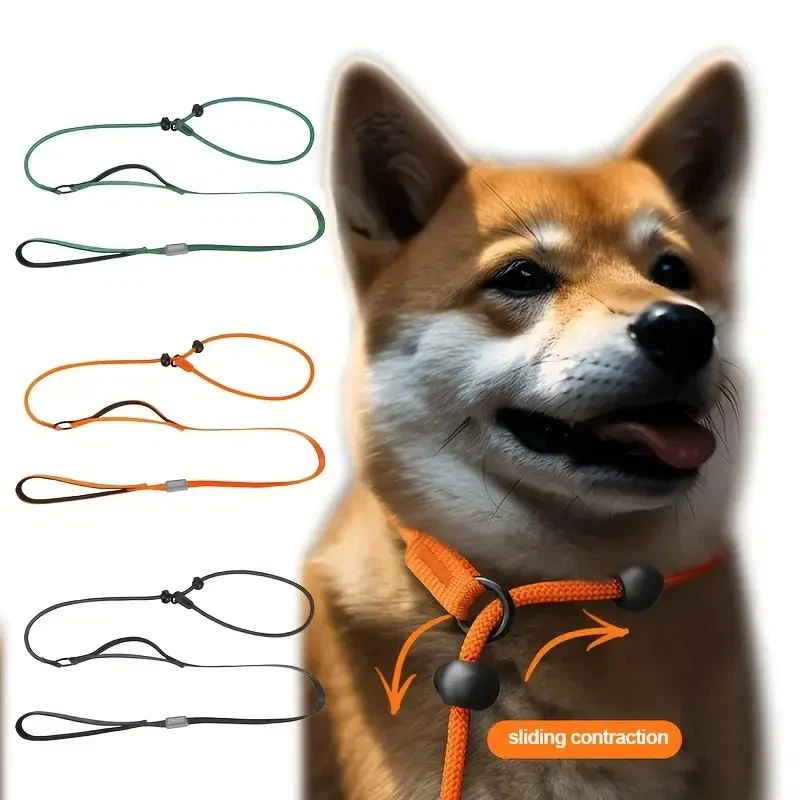 Dog Training Slip Lead factory