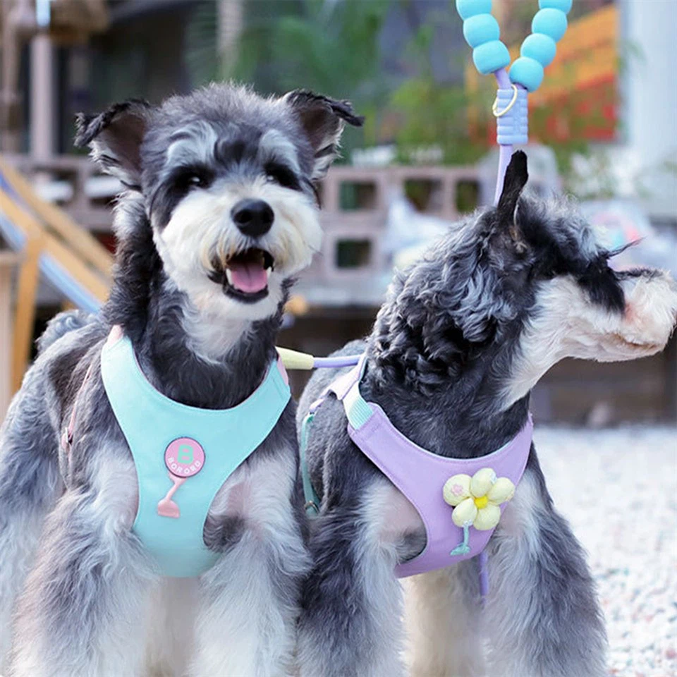 Macarons Dog Harness