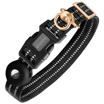 Introduction To Pet Collars