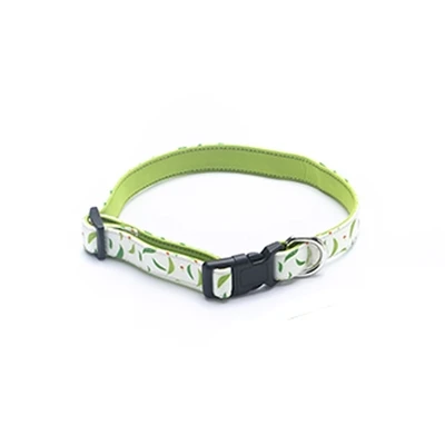 Development Of Pet Collar Industry