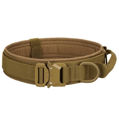 What To Do If Your Dog Doesn’t Like The Collar