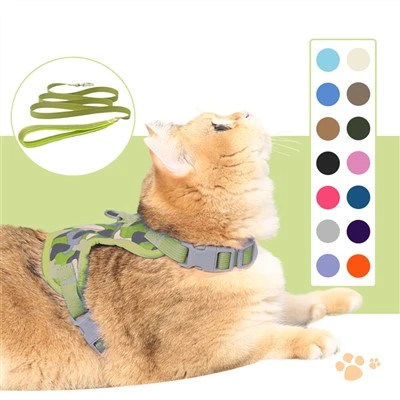 What is the purpose of a studded dog collar?