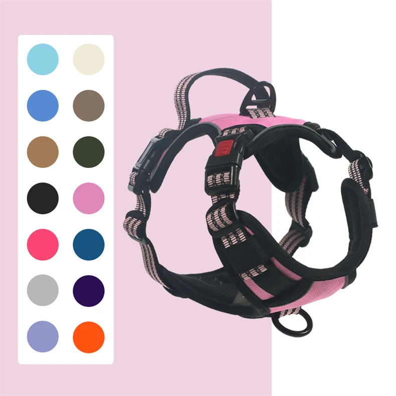 product-790-790 product-790-790
