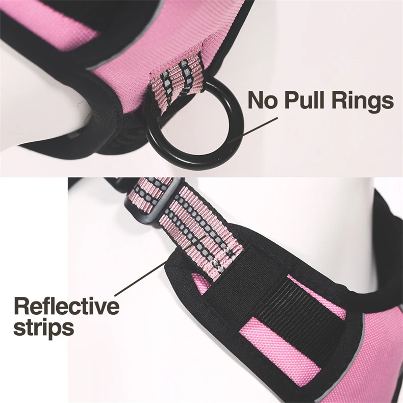 product-790-790 product-790-790