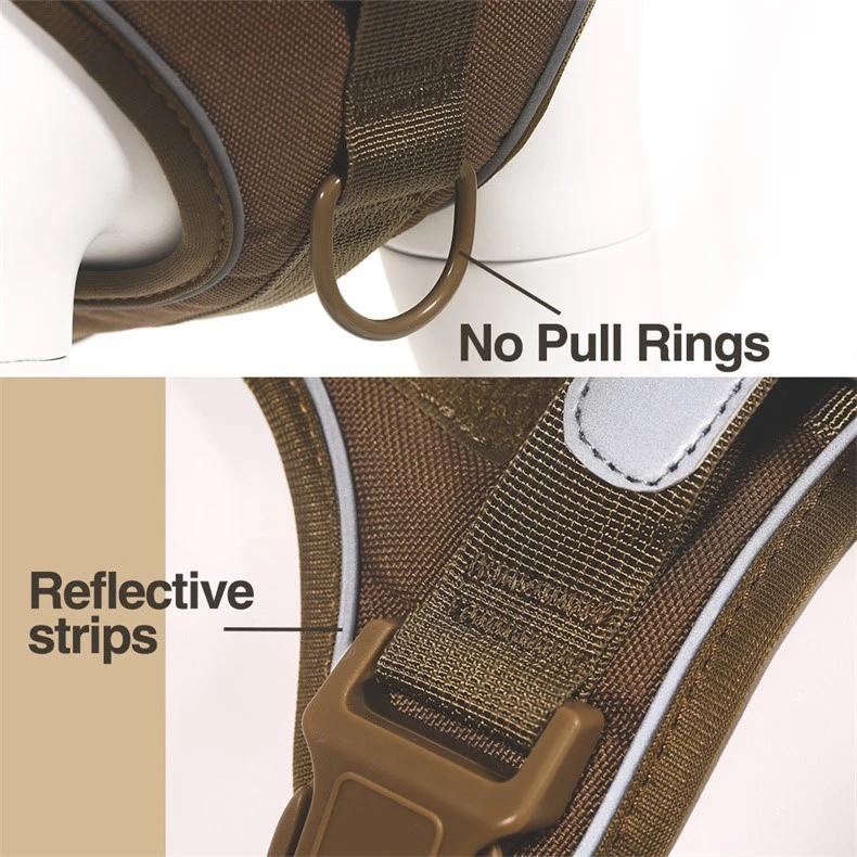 product-790-790 product-790-790