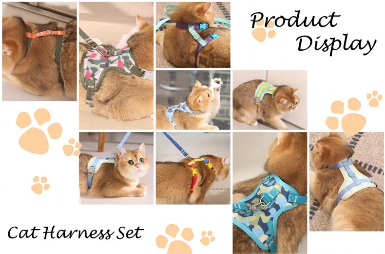 product-790-520 product-790-520