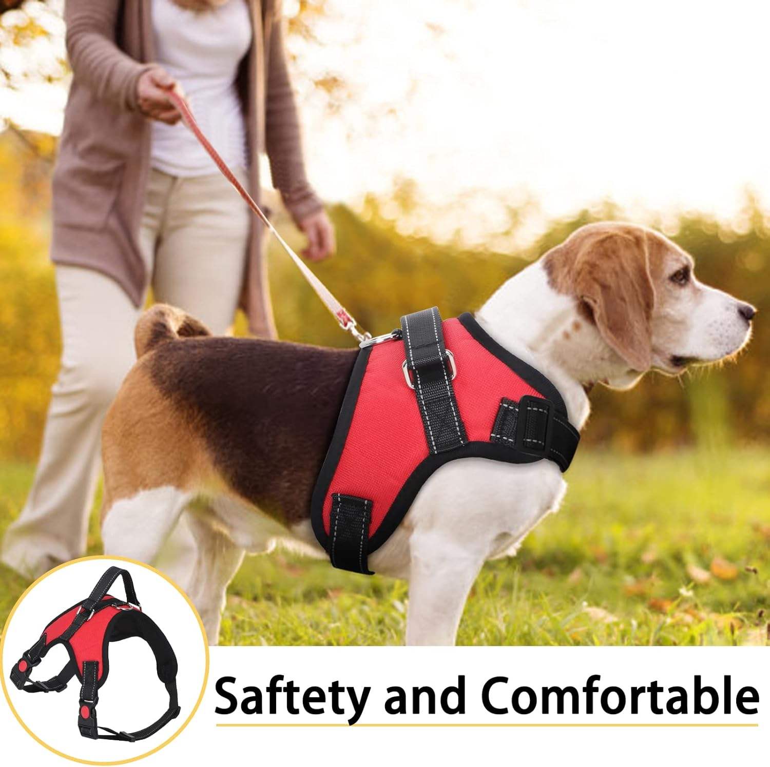 dog harness 1