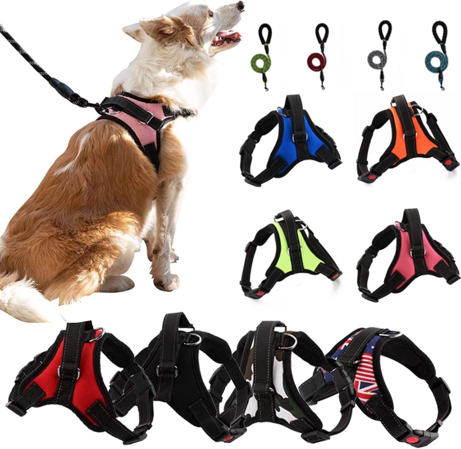 dog harness 2