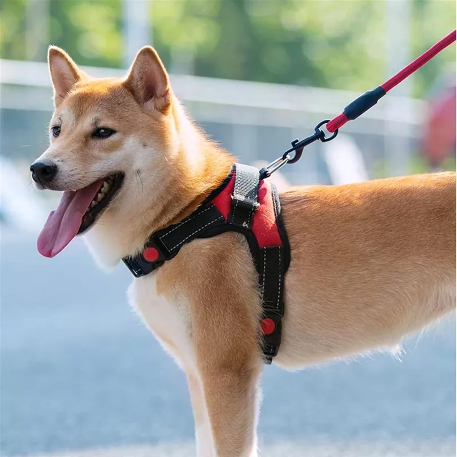 breathable dog harness 1
