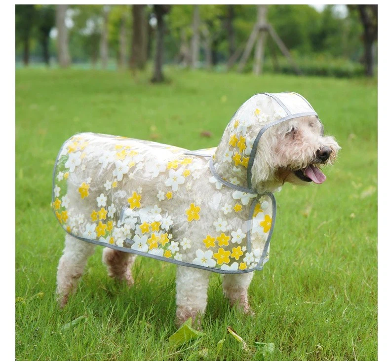 dog raincoat 12 dog raincoat 12
