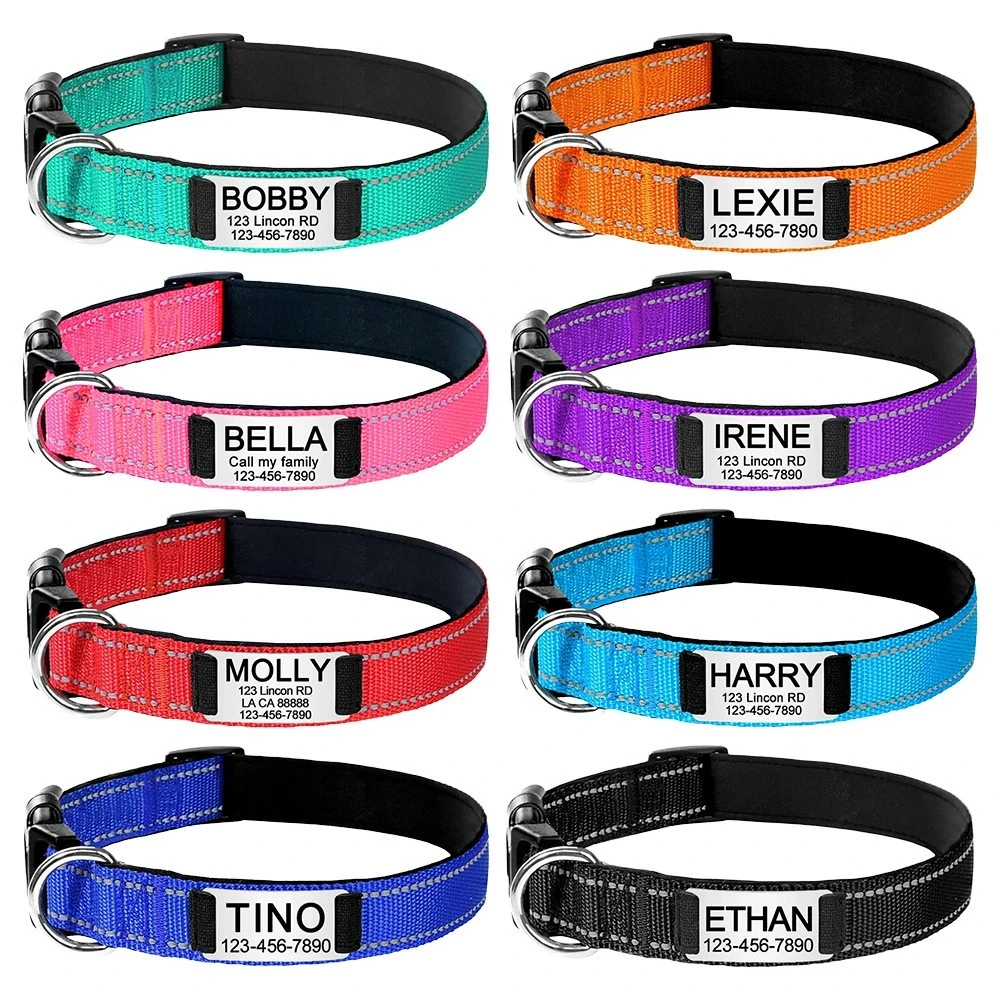 dog collar 15