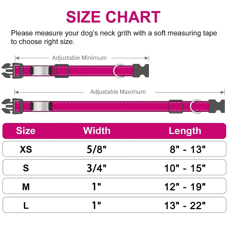 dog collar 17 dog collar 17