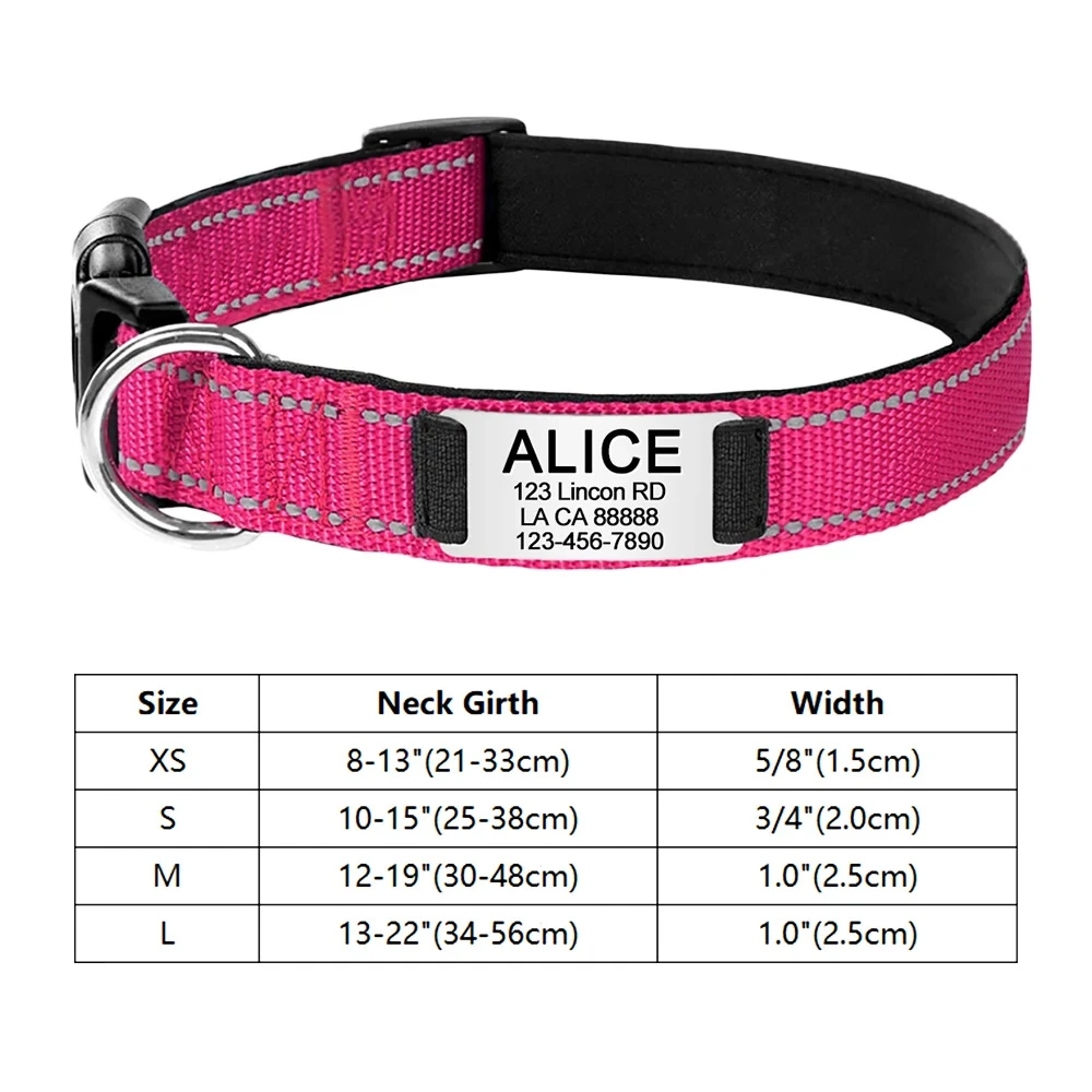 dog collar 16