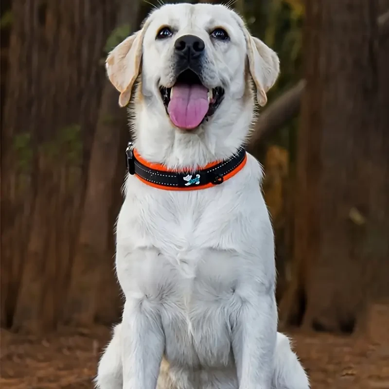 reflective pet collar 101
