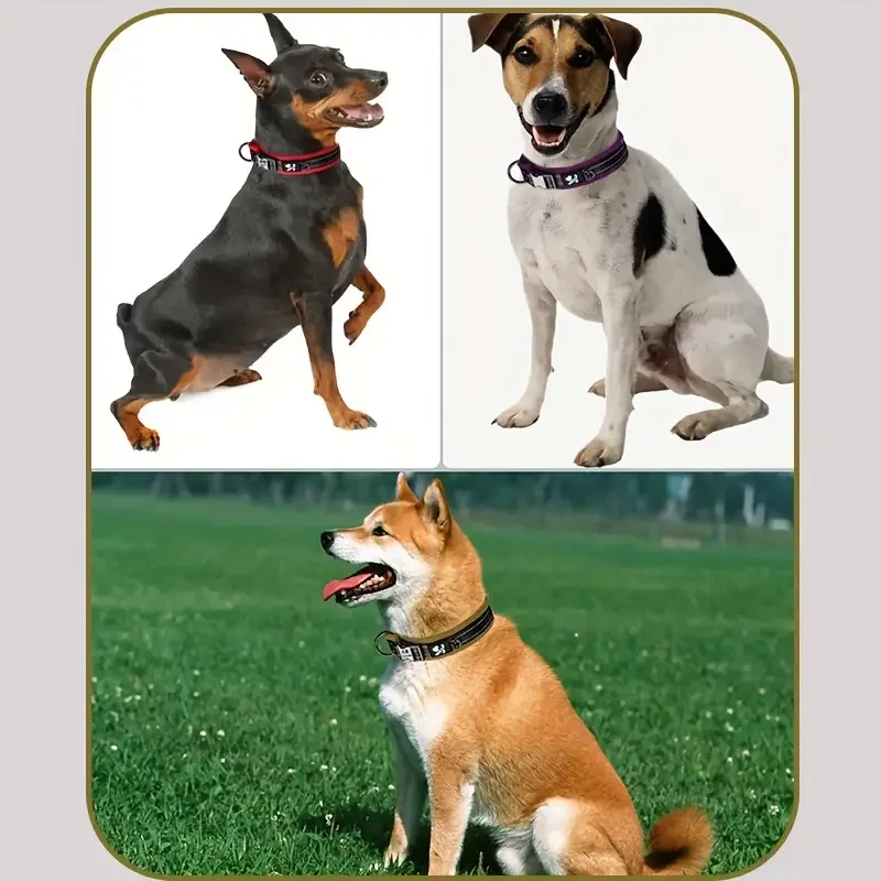 reflective pet collar 111