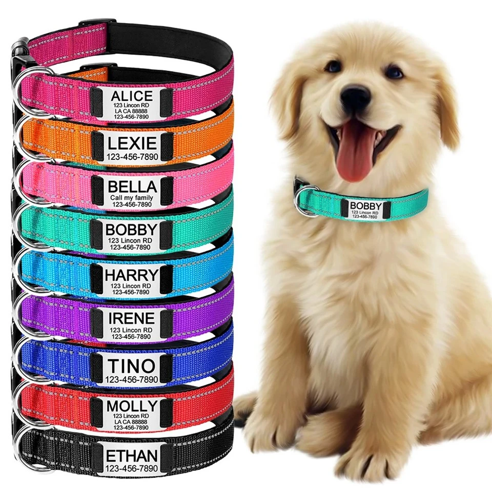 Reflective Dog Collar With Name Plate