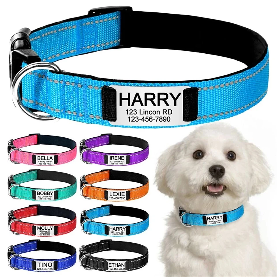 Reflective Dog Collar With Name Plate suppliers