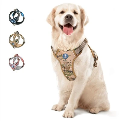 Top 10 Dog Collar Factory in China 2025