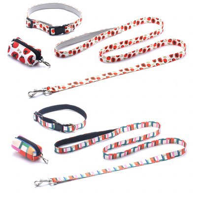 Basic Cushion Dog Leash