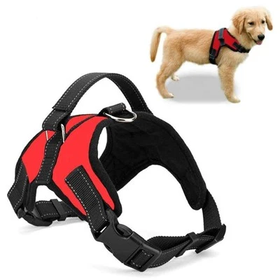 Do dog rope slip lead leashes have a quick - release mechanism?