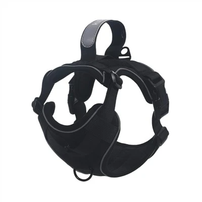 Are there unique dog leashes with glow - in - the - dark elements?