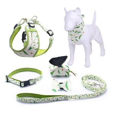 Harness the Fun: Tips for Selecting the Perfect Dog Harness