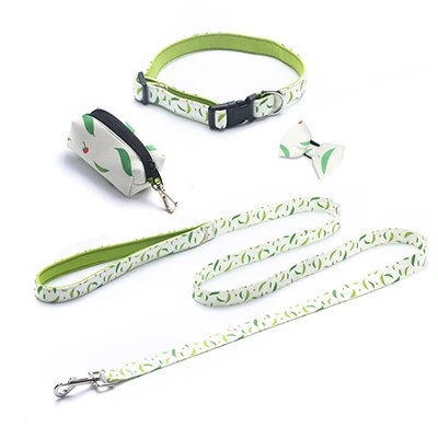 Are there any discounts on Dog Sets?