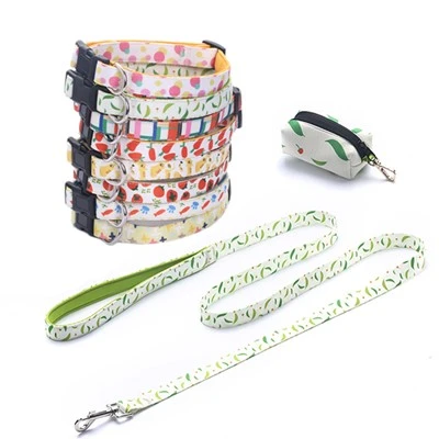 How do I break in a new easy dog leash?