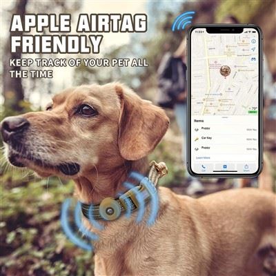 Top 5 Best Dog Harness Manufacturers in China