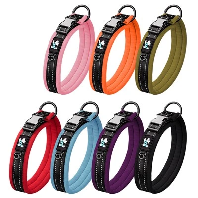 How to introduce a new harness to a dog?