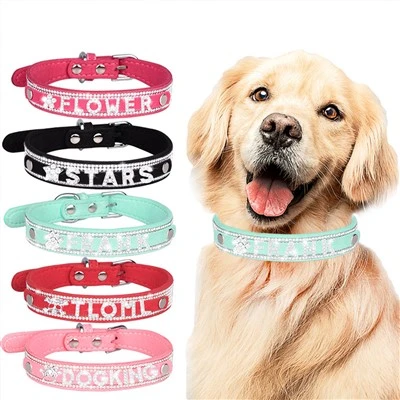 What is the function of a prong collar?