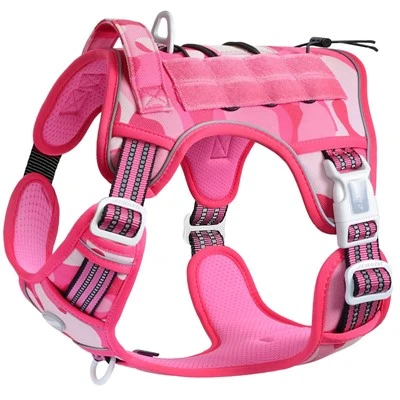 Can a dog collar get tangled in a dog's fur?