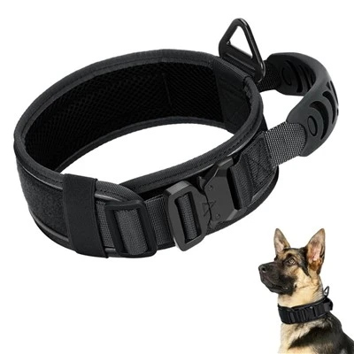Top 10 Dog Leash Factory in China