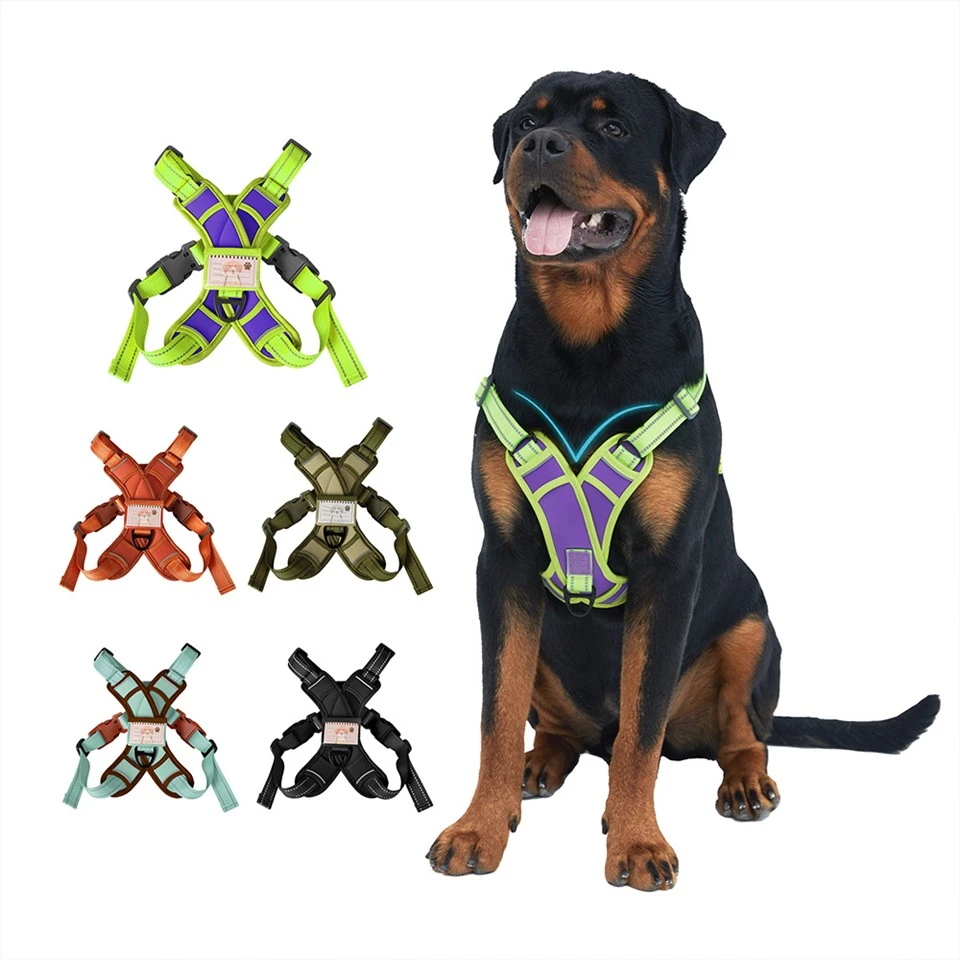 X Shaped Dog Harness